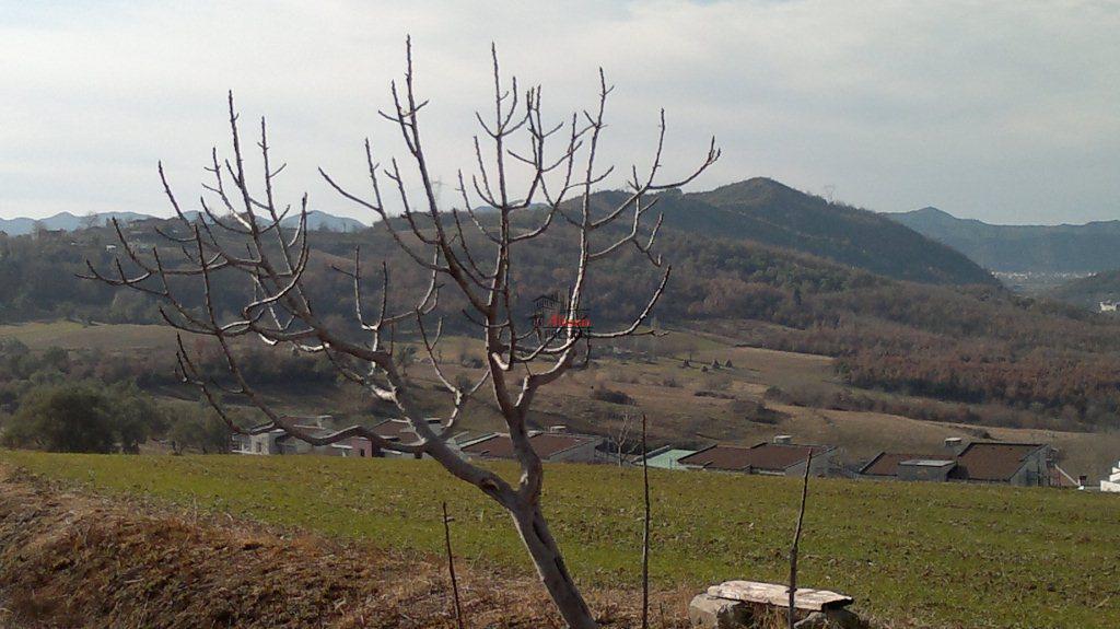 Land for Sale in Lunder, Tirane Real Estate in Tirana Albania